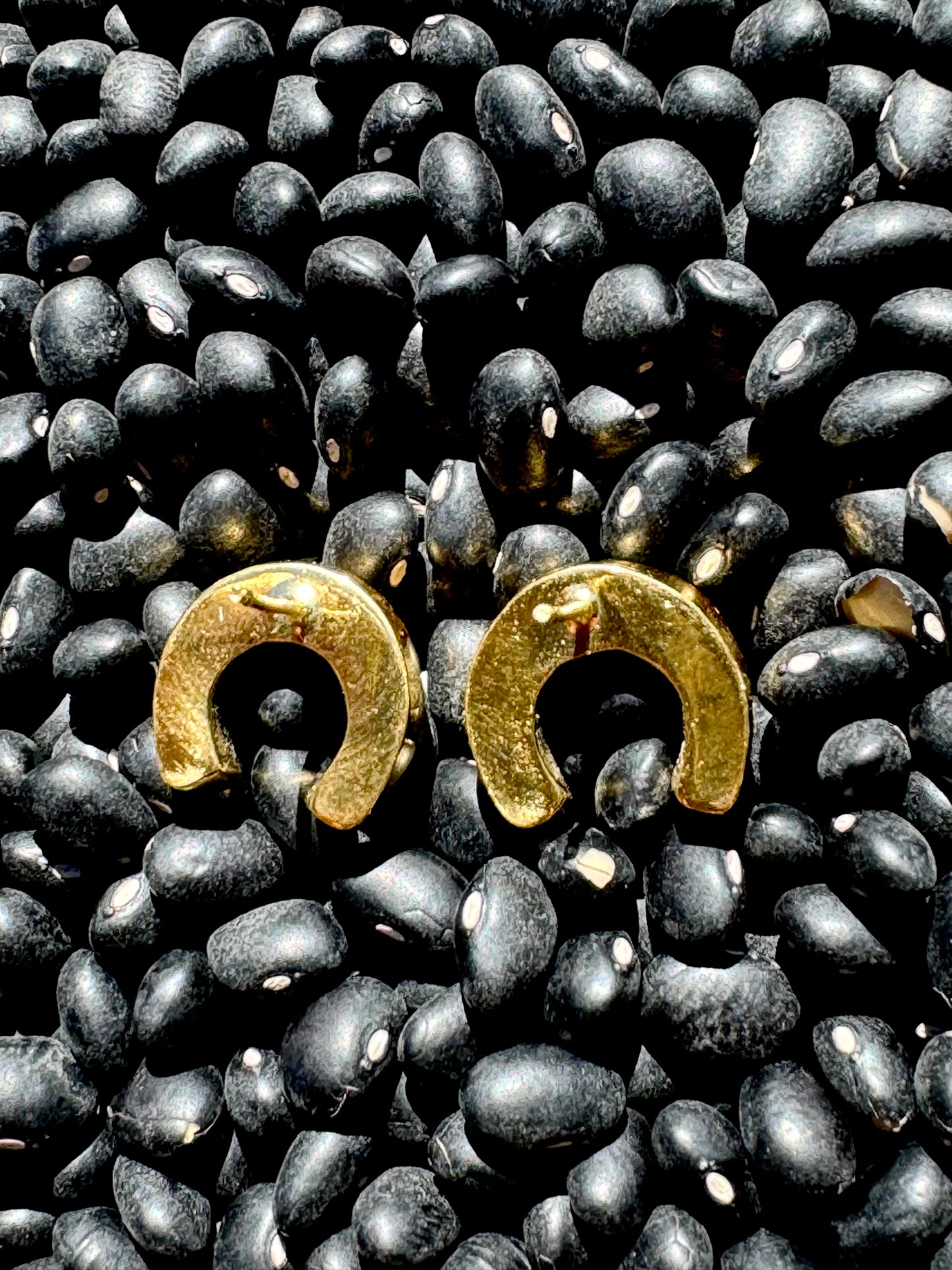 THE HORSESHOE EARRING