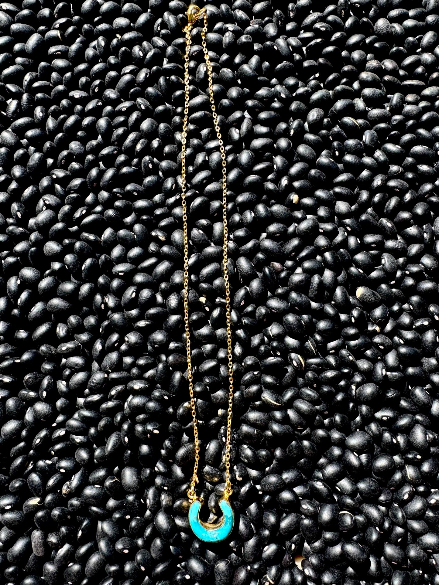 THE HORSESHOE NECKLACE