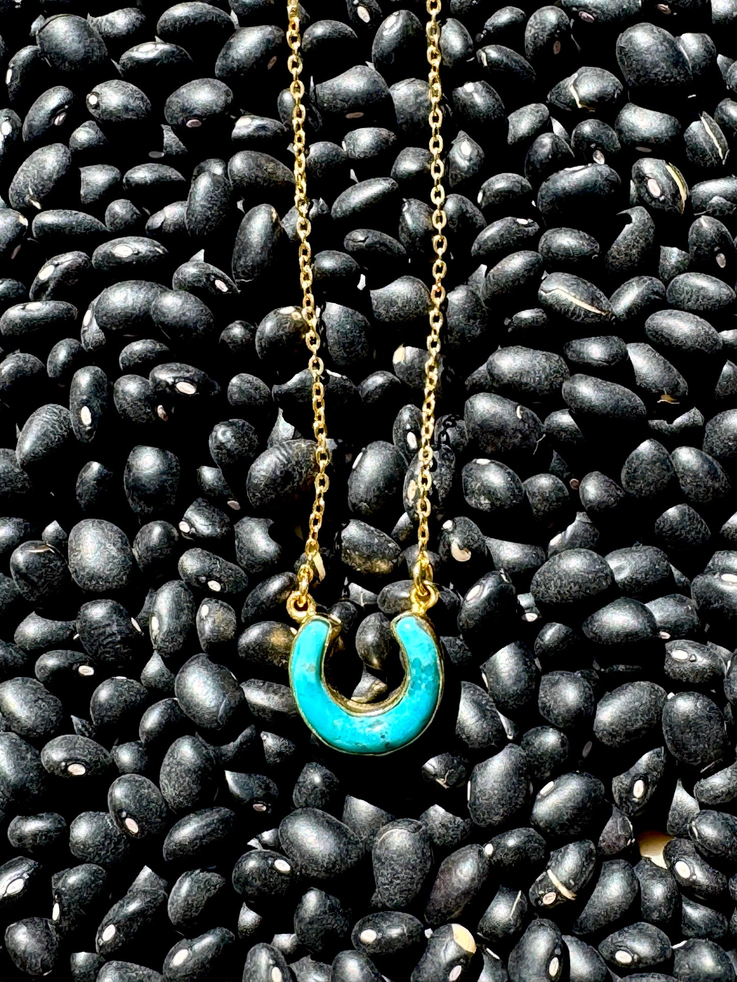 THE HORSESHOE NECKLACE