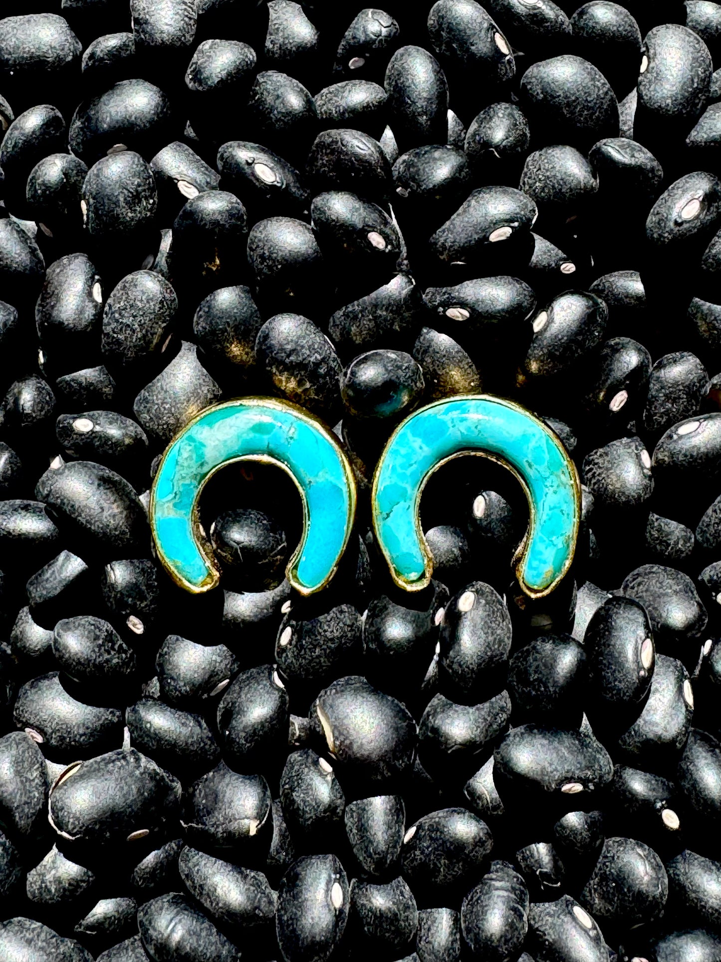 THE HORSESHOE EARRING